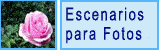 Escenarios para fotos